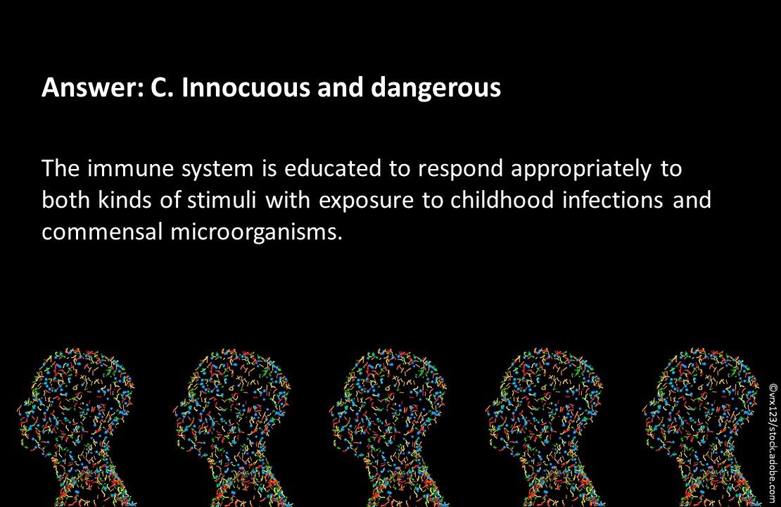 immune system, hygiene and health, microorganism, primary care, infections