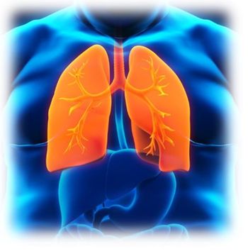 ©Nerthuz/Shutterstock.com