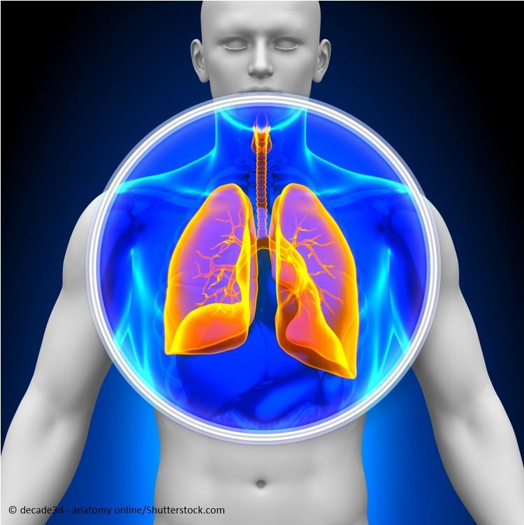 Steroid-sparing Rx for Severe Asthma: What is In the Pipeline?
