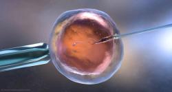 Fertility Treatment Impact on Cardiometabolic Health in Offspring Found Extremely Small