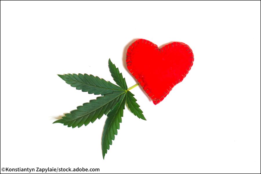 3x5 Marijuana Love Pot Heart Weed Hemp Flag House Banner Brass Grommets 100D 
