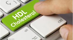 Elevated HDL-C May be Risk Factor for Fracture in Older Adults 