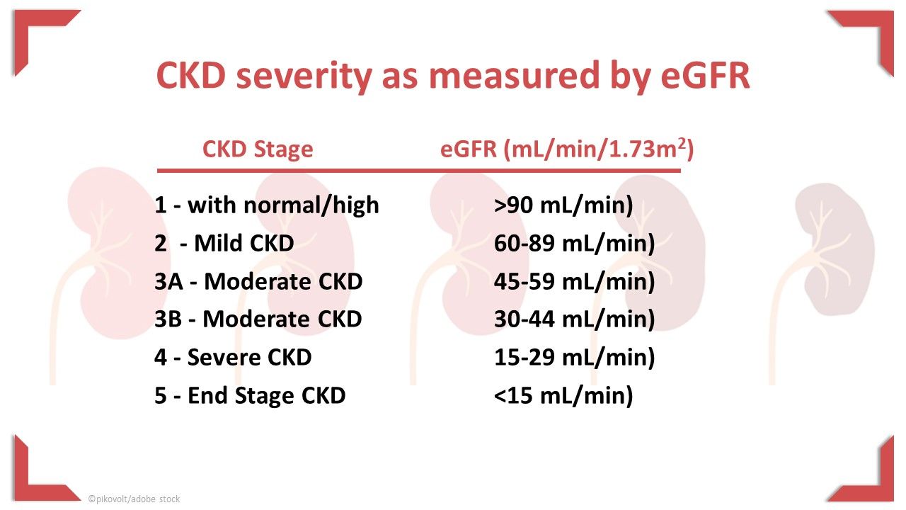 Cdk Egfr How to Identify & Evaluate Chronic Kidney Disease Using eGFR and UACR ...