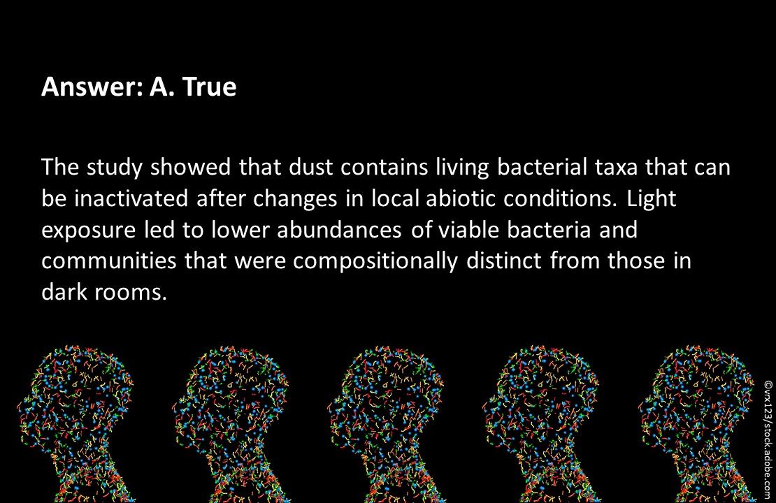 bacteria, hygiene and health, bacterial resistance, primary care