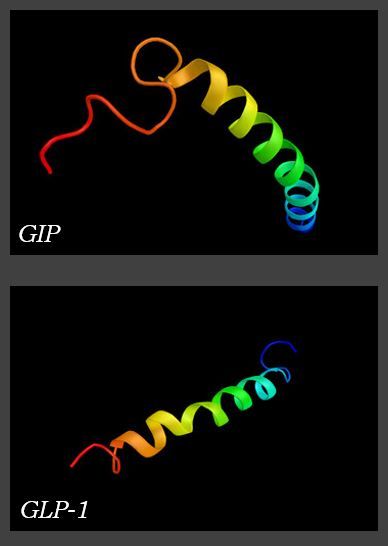 Tirzepatide Slows Renal Decline in T2D Patients with CKD in First Analysis of Dual Agent on Kidney Function