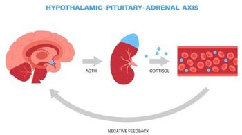 Atumelnant for Congenital Adrenal Hyperplasia Agent Granted FDA Orphan Drug Designation / ©pikovit/stock.adobe.com