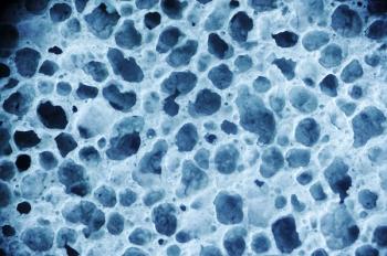 © Filipchuk Oleg/Shutterstock.com