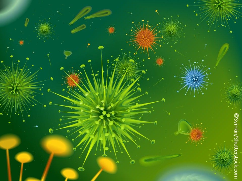 Spring Sick 10 Symptoms and Syndromes of Spring