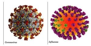 COVID-19 and Flu Vaccinations: A CDC Recommendations Quiz ©Kateryna_Kon/Shutterstock.com