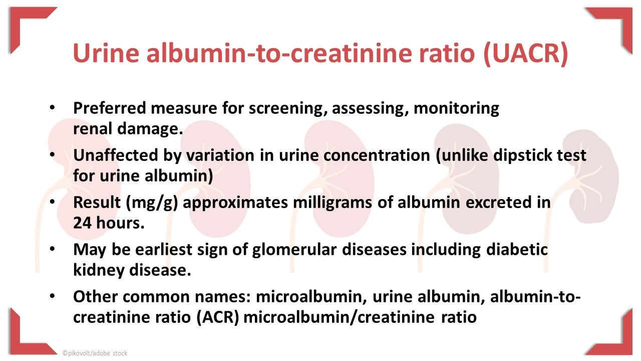 Uacr Chart.pdf How to Identify & Evaluate Chronic Kidney Disease Using eGFR and UACR ...