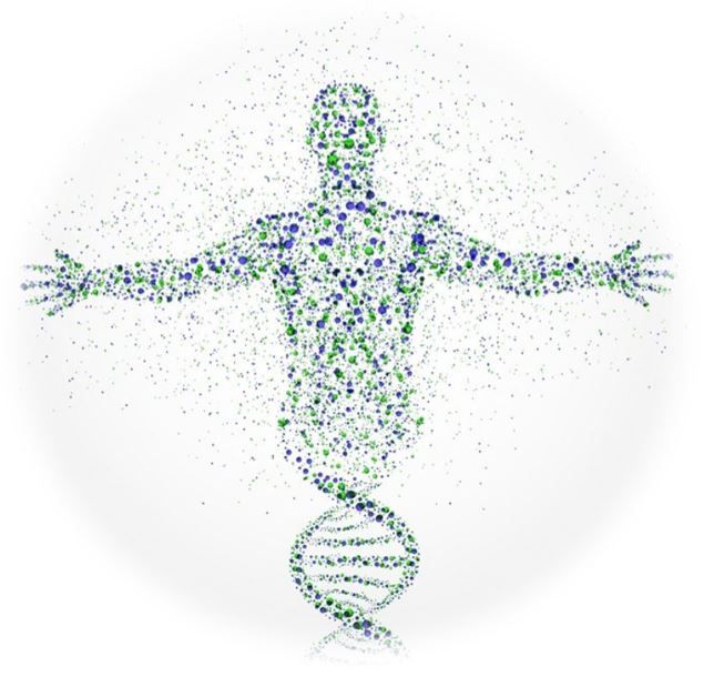 Low Uptake of Hereditary Cancer Screening Among Breast Cancer Survivors Highlights Missed Opportunities for Preventive Care