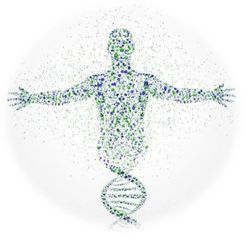 Multiancestry Genetic Study of T2D Expands Potential for Risk Assessment, Treatment 