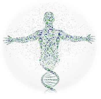 6 Latent Menopausal Phenotypes Identified by Machine Learning in 10-Year SWAN Follow-Up / image credit ©Lonely/Shutterstock.com