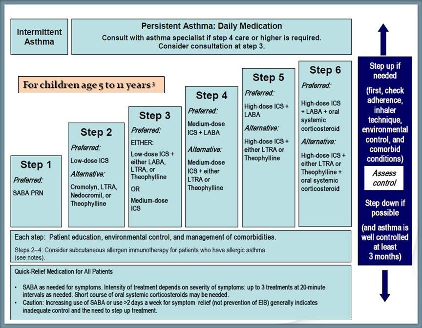 Pediatric Asthma Refresher for the Primary Care Clinician