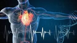 Study Links Older Age and Low Fitness to Higher Risk of Arrhythmias in Healthy Adults