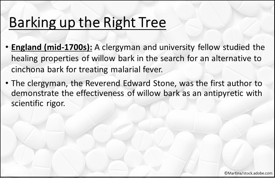 Reverend Edward Stone, healing properties of willow bark, aspirin history