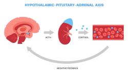 The CRF Pathway Interrupted: Potential to Transform CAH Care