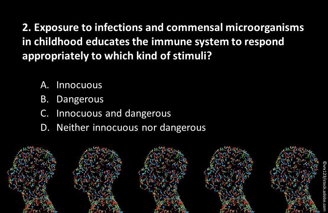 immune system, hygiene and health, microorganism, primary care, infections