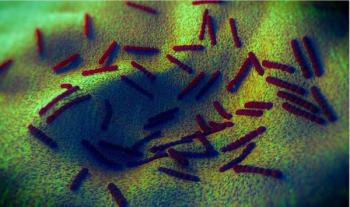 Pneumococcal Vaccines for Adults: The Devil is Still in the Details image of pneumococcus virus ©RoyaltyStockPhoto/shutterstock.com 