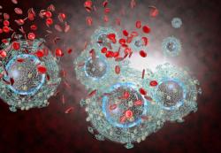 New Data at IAS 2025 Underscore Real-World Success of Long-Acting Injectable HIV Therapies