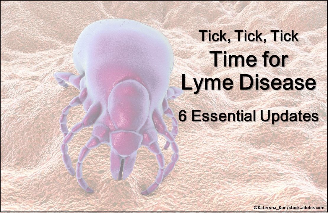 lyme disease, lyme disease symptoms, lyme disease research, ticks, ticks bites