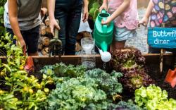 School-based Gardening Program Improved Glucose Control, Reduced LDL-C in At-risk Children
