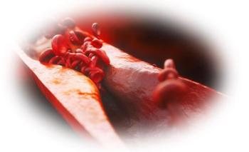 Combination Statin Plus Ezetimibe More Effective than High-Dose Statin to Reduce LDL-C in People with ASCVD / image credit cholesterol: ©Crevis/stock.adobe.com