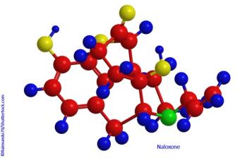 Copyright Raimundo79/Shutterstock.com