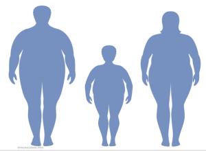 Obesity and the Musculoskeletal System: Age and Impact
