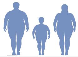 Obesity and the Musculoskeletal System: Age and Impact 