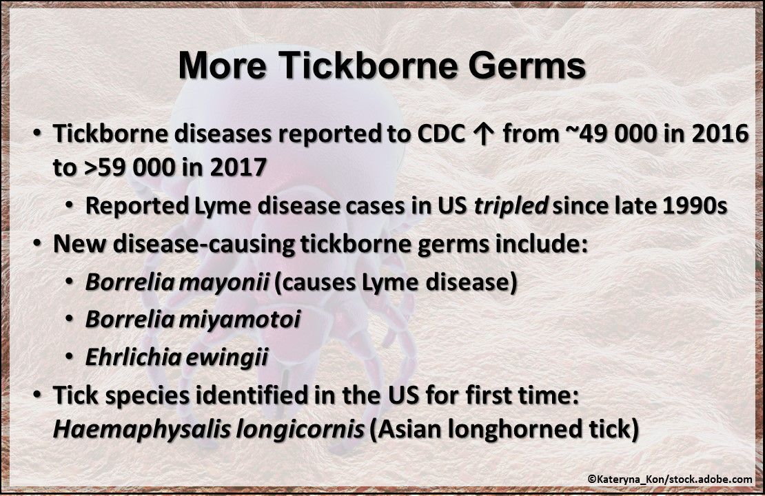 lyme disease, lyme disease symptoms, lyme disease research, ticks, ticks bites