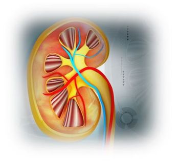 CKD, ESRD, dialysis, hypertension, primary care 