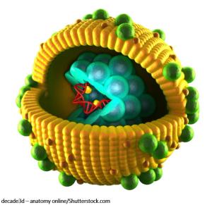 Newer Hepatitis C Drugs Mean Direct Action