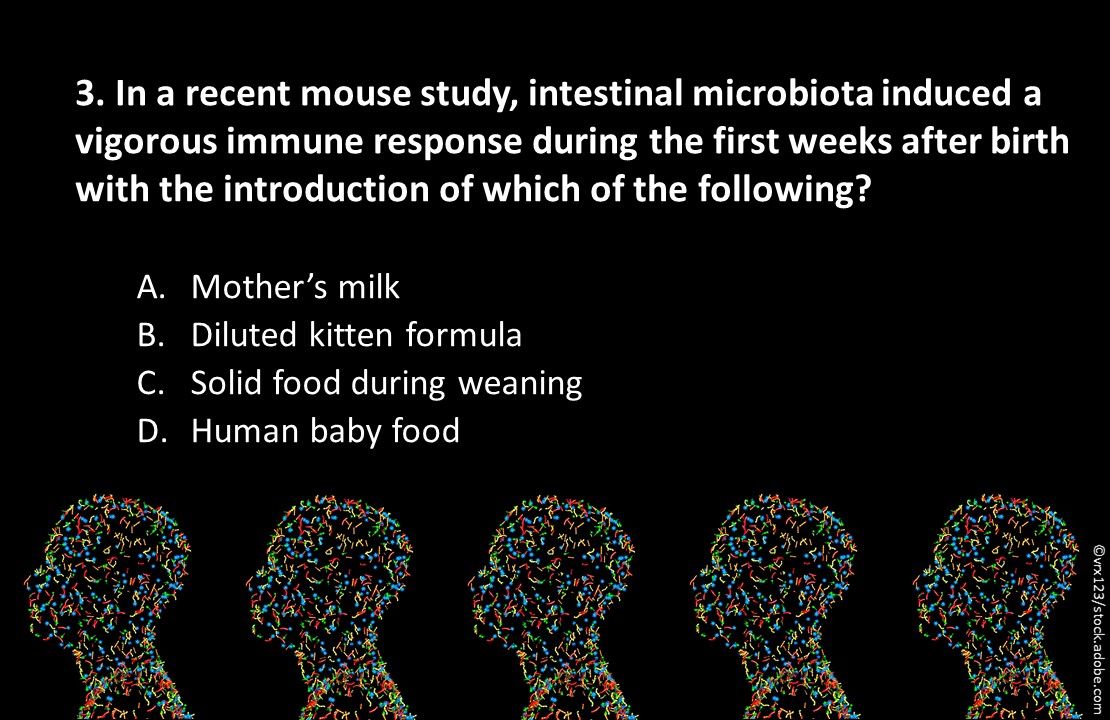 immune system, hygiene and health, microbiota, primary care