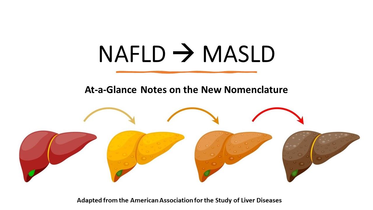 NAFLD is Now MASLD: The New Nomenclature, At-a-Glance