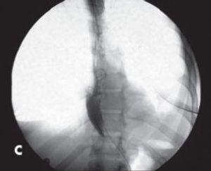 Lakeisha Conley, MD, Christopher Knudsen, DO, Terry J. Hundley, MD, et al. 