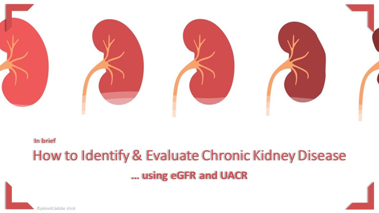 How to Identify & Evaluate Chronic Kidney Disease Using eGFR and UACR ...