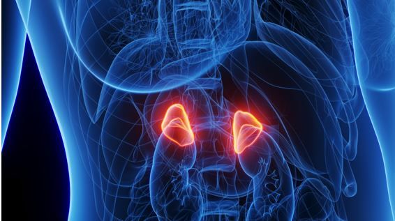 One-Quarter of Adults with Difficult-to-Control T2D have Hypercortisolism, According to New Data