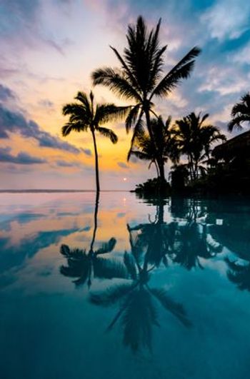 5 Days in Hawaii: Winter Clinical Hawaii Dermatology Conference / image credit ©Lucas/stock.adobe.com