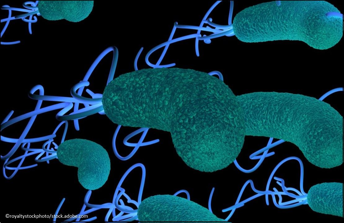 Talicia Capsules, H. pylori infection, infection treatment, medication