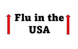 Influenza Update: Hospital Admissions Double During post-Thanksgiving Week
