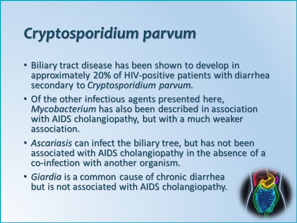 AIDS cholangiopathy, Cryptosporidium parvum, crypto