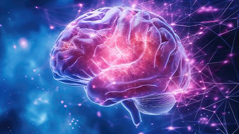 Alamar Biosciences and ALZpath Announce Collaboration Centered on ...
