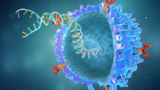 Cencora VP & Head of Cell & Gene Therapy Service Line Discusses Industry Pain Points and Technological Capabilities