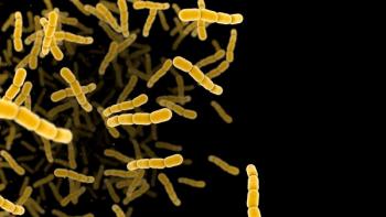 Streptococcus pneumonia bacteria cells.