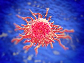 Dose Limiting Toxicities Following Treatment With Belantamab Mafodotin in Combination With Pomalidomide and Dexamethasone
