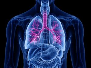 Inhaled Stem Cells for COPD: What Would Prove Lasting Benefit?