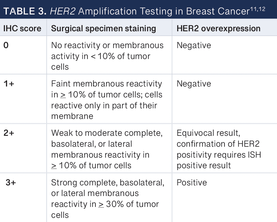 Her2 Testing Methods A Review of Anti-HER2 Targeted Agents in Non-Breast Solid Tumors
