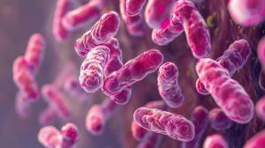 Pneumococcal disease is a name for any infection caused by bacteria called Streptococcus pneumoniae, or pneumococcus - Image credit: Thipphaphone | stock.adobe.com