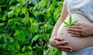 Harm Reduction Counseling for Cannabis Use in Pregnancy and Lactation